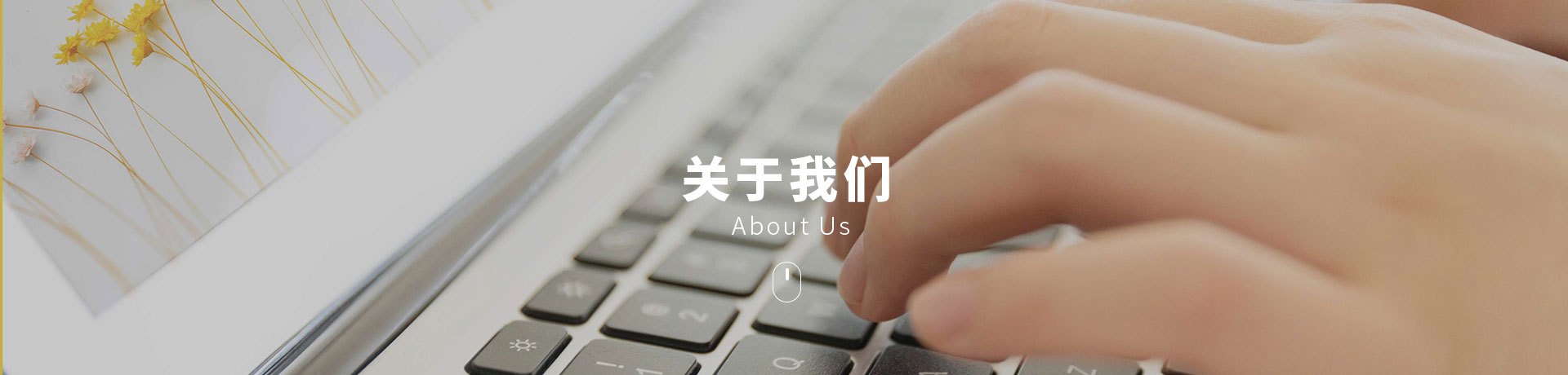 IM体育(中国)国际平台,IM SPORTS